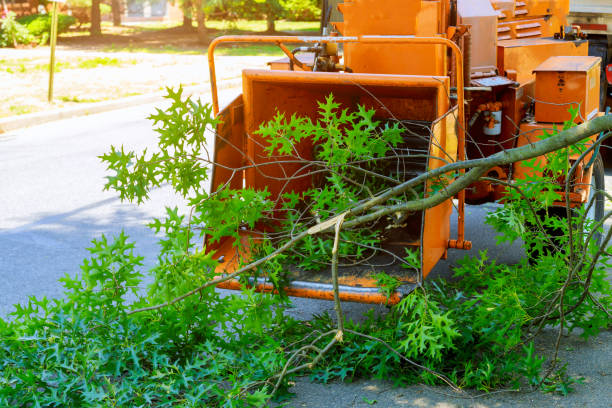 Best Firewood Processing and Delivery  in Brooklyn, WI